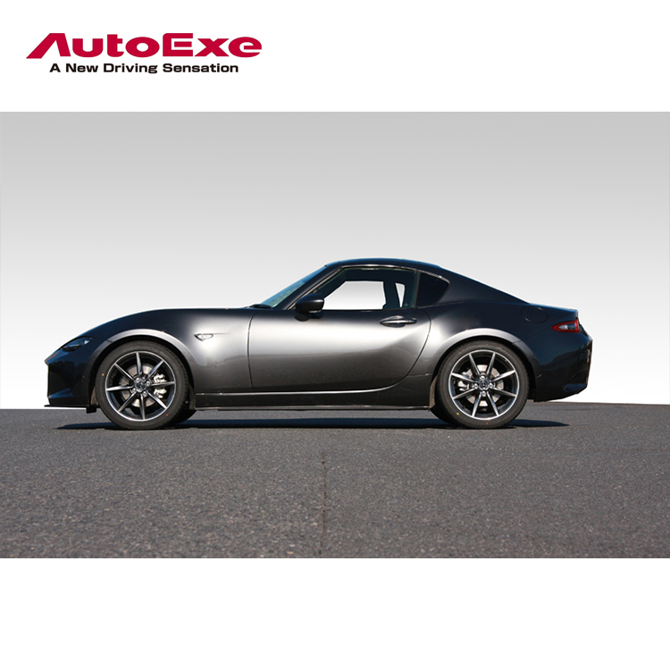 AUTOEXE LOW DOWN SPRING