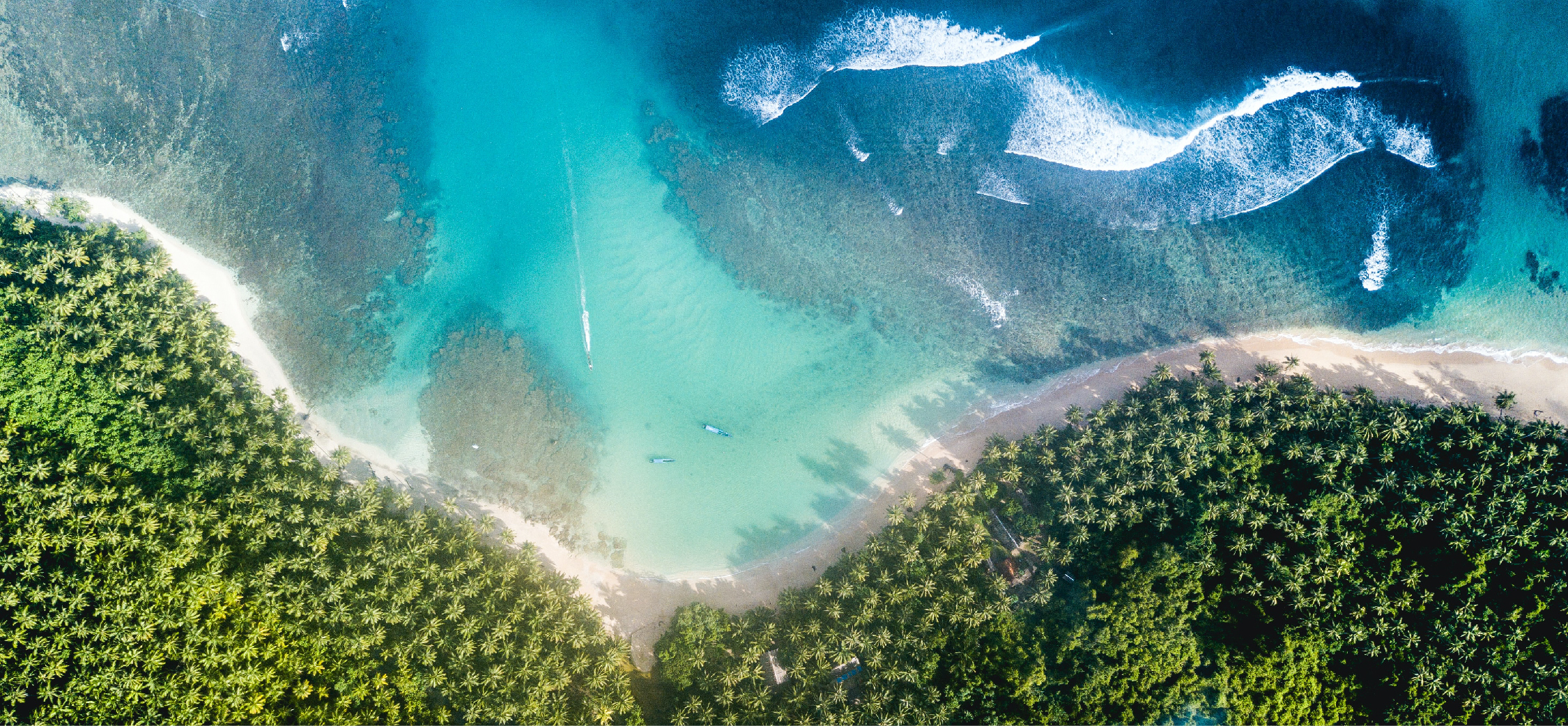 A.A. 無添加驗證, Anti Additive Clean Label