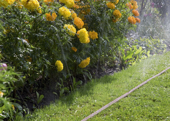 "GARDENA" 德國15m噴霧式軟喉(5條/盒)-[1999]