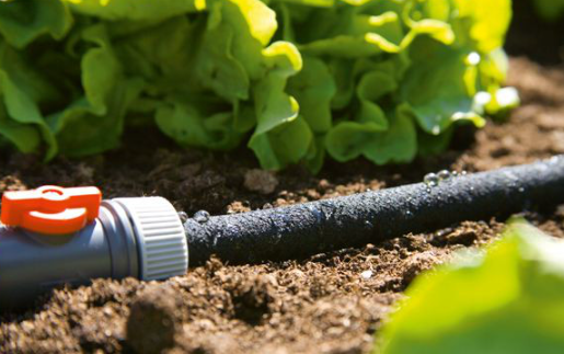 "GARDENA" 德國15m滲水式軟喉(5條/盒)-[1969]