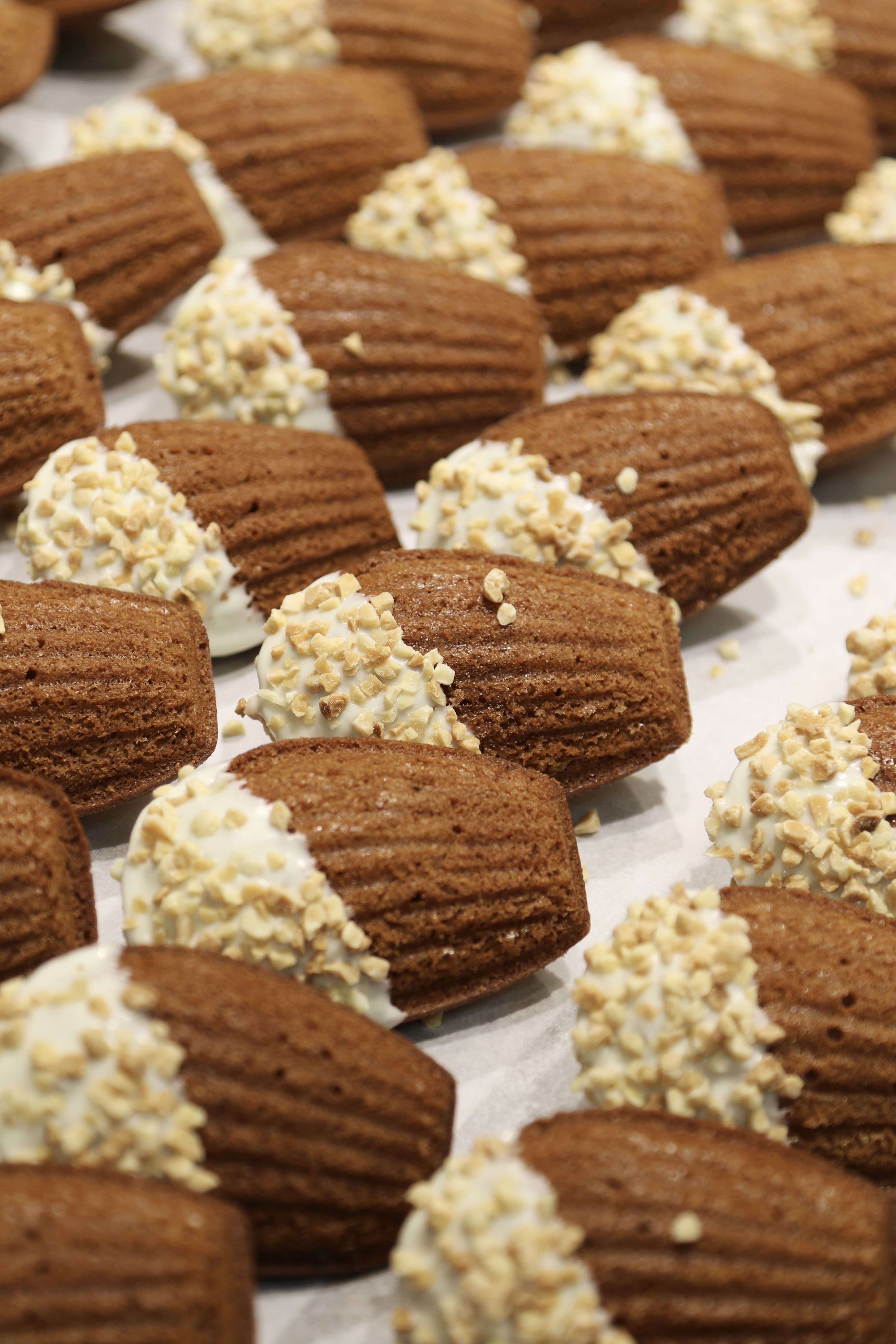 瑪德蓮（單顆）