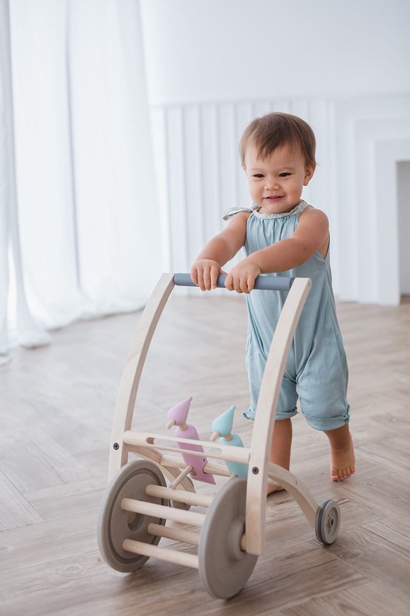 PlanToys 啄木鳥推車