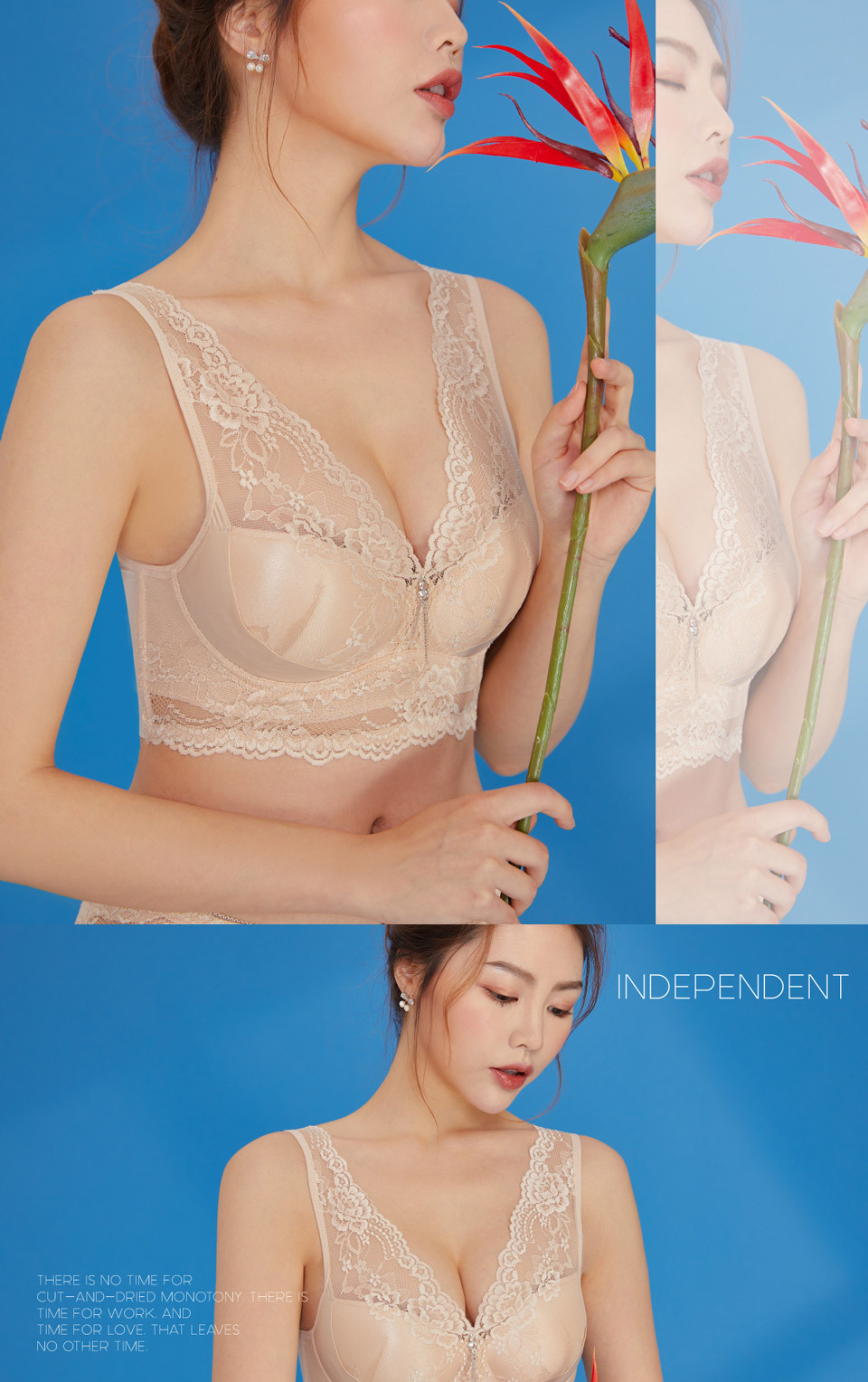 無鋼圈托提集中蕾絲包覆內衣|Olivia無鋼圈內衣 、大尺碼內衣