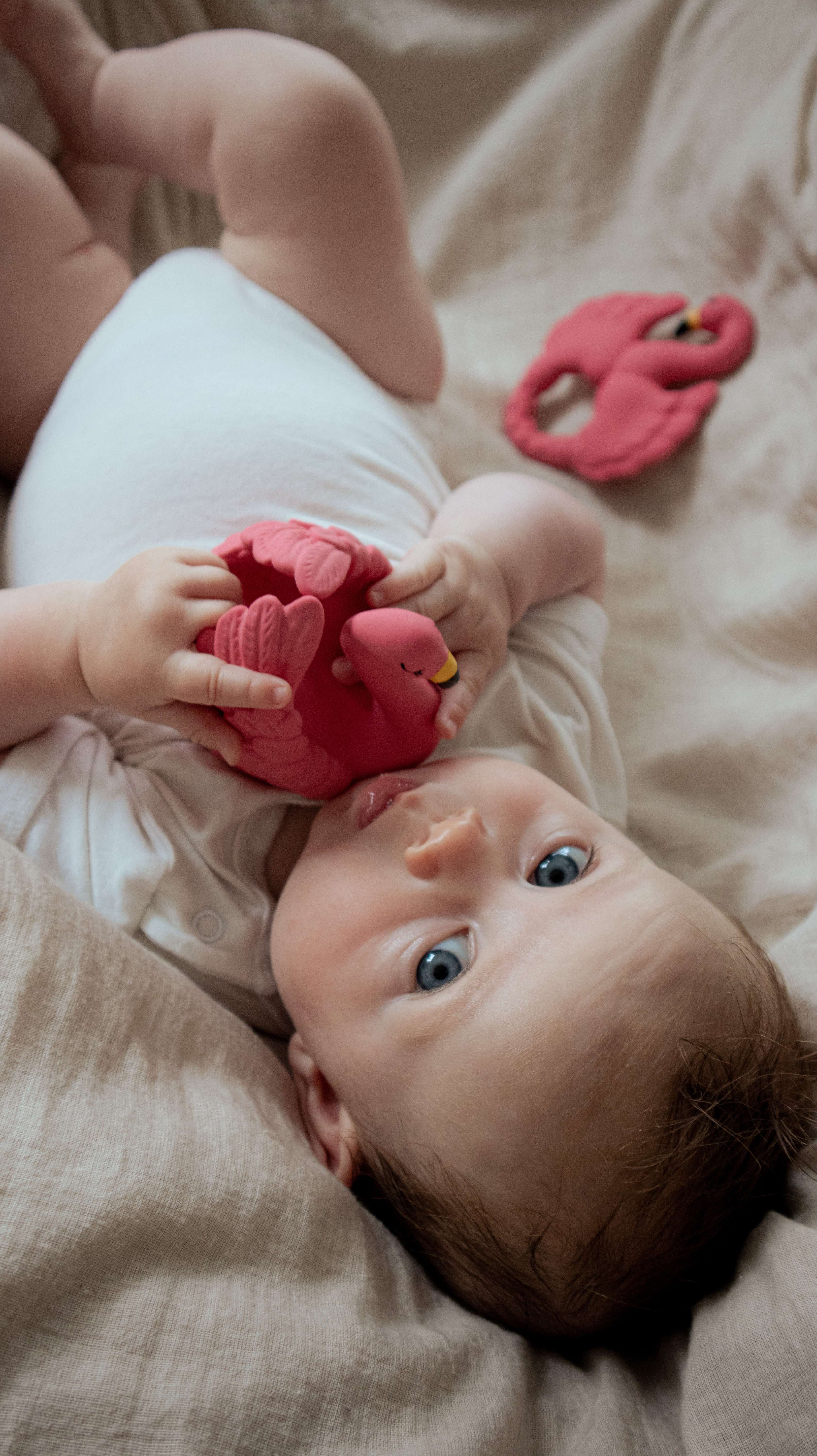 【福利品】Natruba- Bath Flamingo 粉紅火鶴洗澡玩具(Pink)