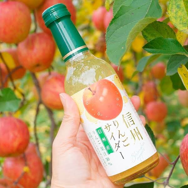 信州蘋果汽水-梳打汽水-240ml-[日本直送]
