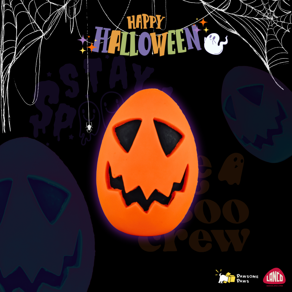 《 Lanco 》天然無毒橡膠玩具｜萬聖節系列【傑克南瓜蛋】