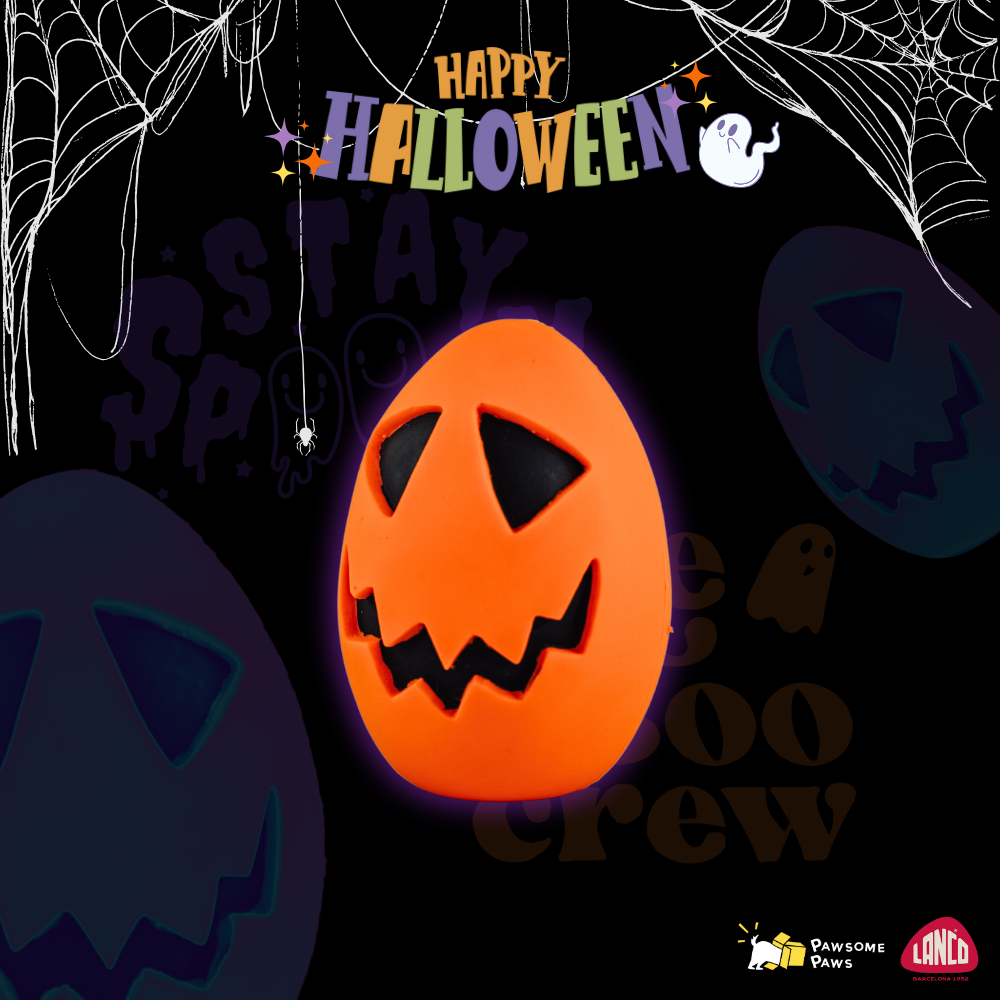 《 Lanco 》天然無毒橡膠玩具｜萬聖節系列【傑克南瓜蛋】