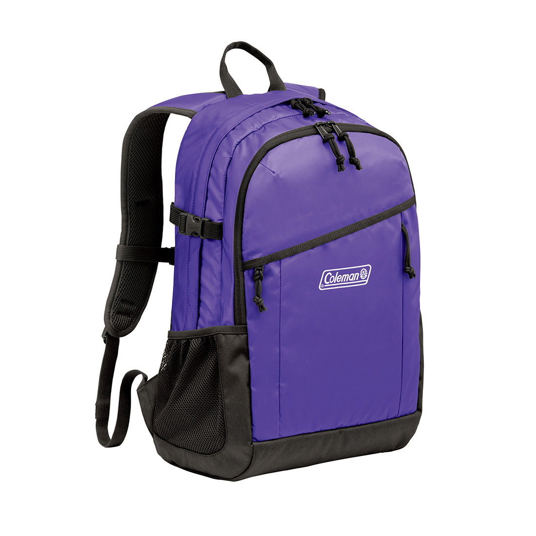 Coleman backpack hotsell