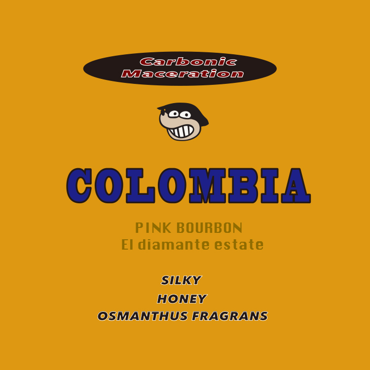 哥倫比亞 粉紅波旁