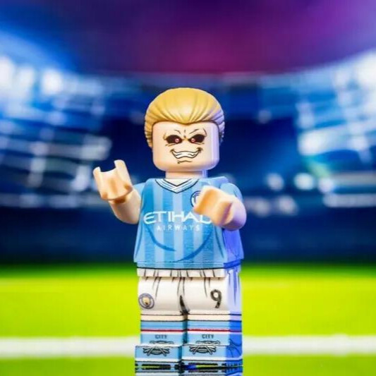 【Minifigs.Factory】艾寧·夏蘭特