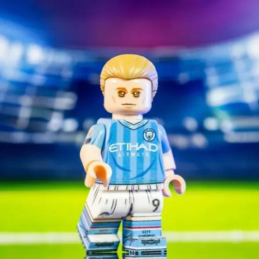 【Minifigs.Factory】艾寧·夏蘭特