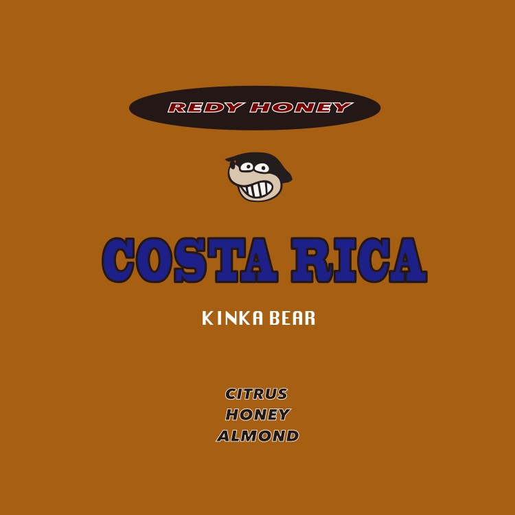 哥斯大黎加 津卡蜜熊