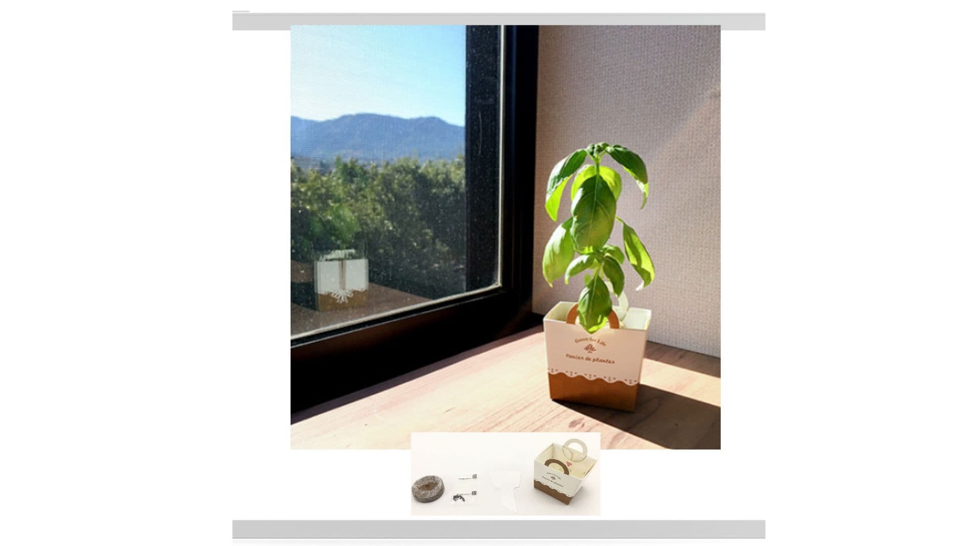 日本製紙盒盆栽室內種植