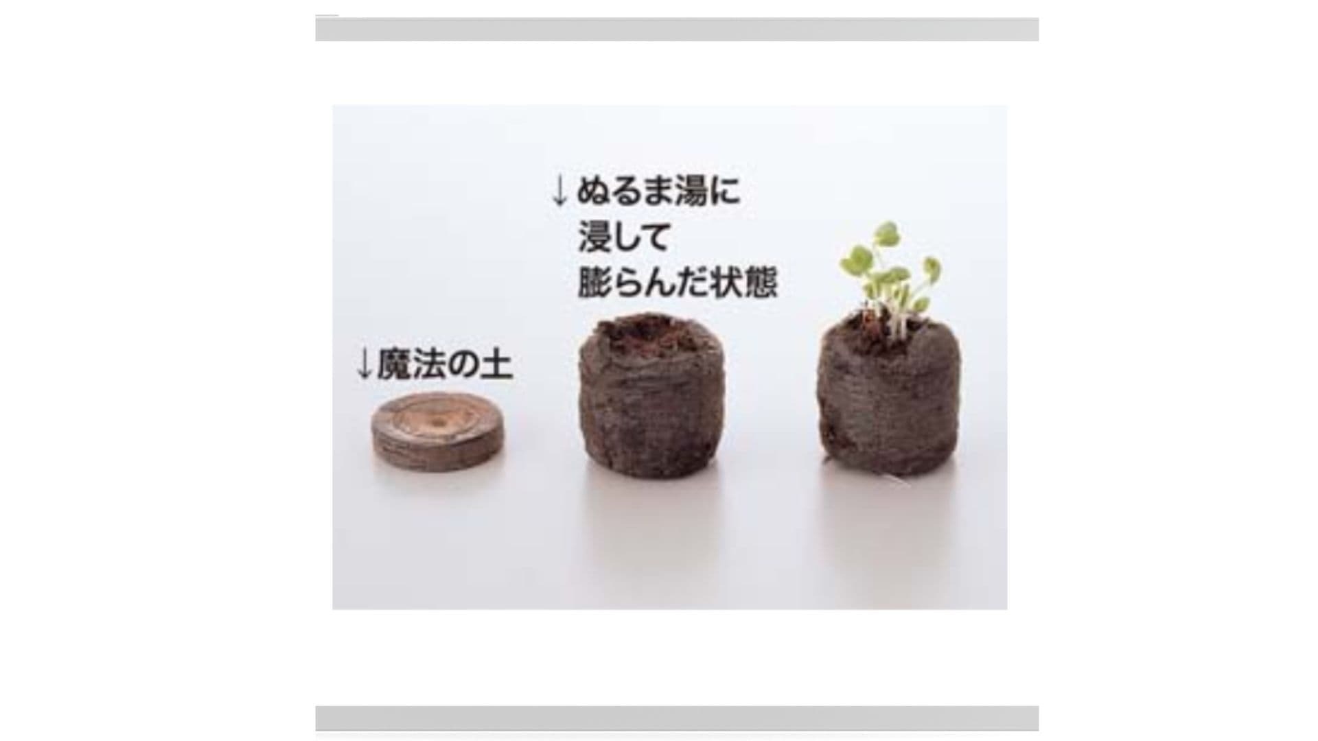 日本製紙盒盆栽種子套裝魔法土使用方式