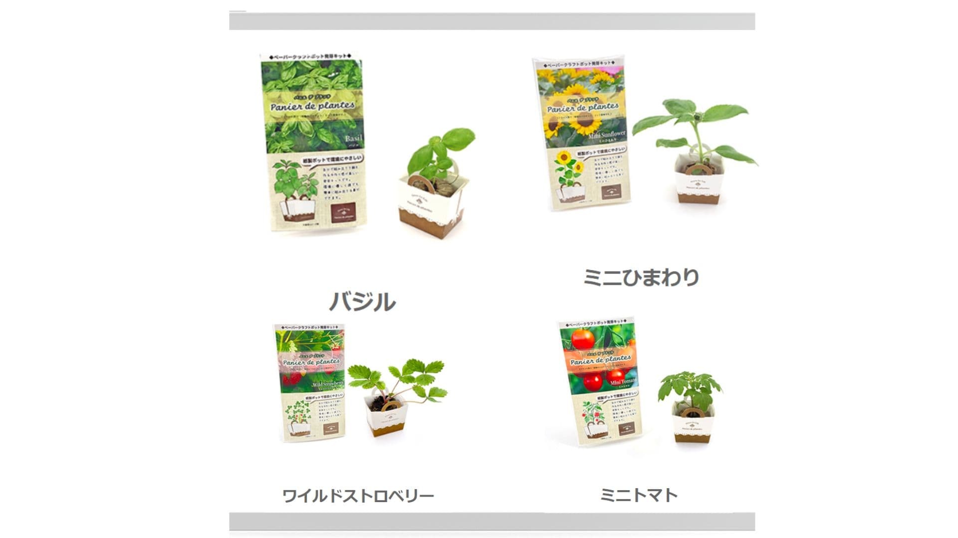 日本製紙盒盆栽種子套裝包含羅勒種子套裝，迷你向日葵種子套裝，野生草莓種子套裝，迷你番茄種子套裝