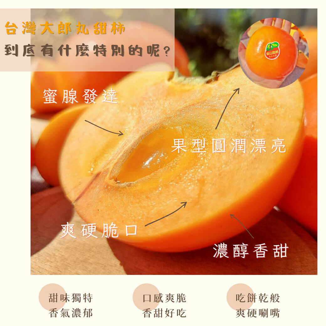 台灣大雪山大郎丸甜柿