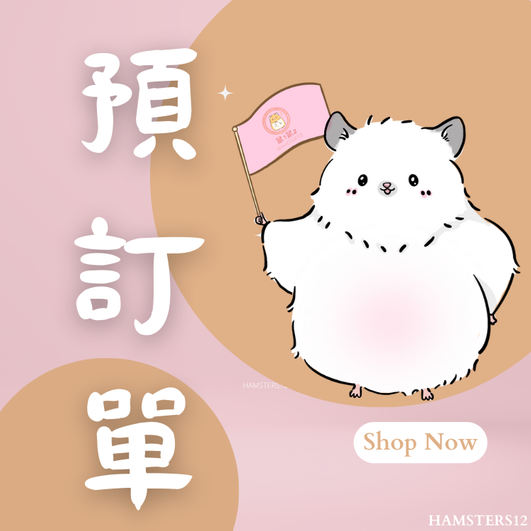 Hamsters12鼠1鼠2  捲毛黃金鼠/長毛黃金鼠/短毛黃金鼠 預訂單 敘利亞倉鼠/黃金鼠