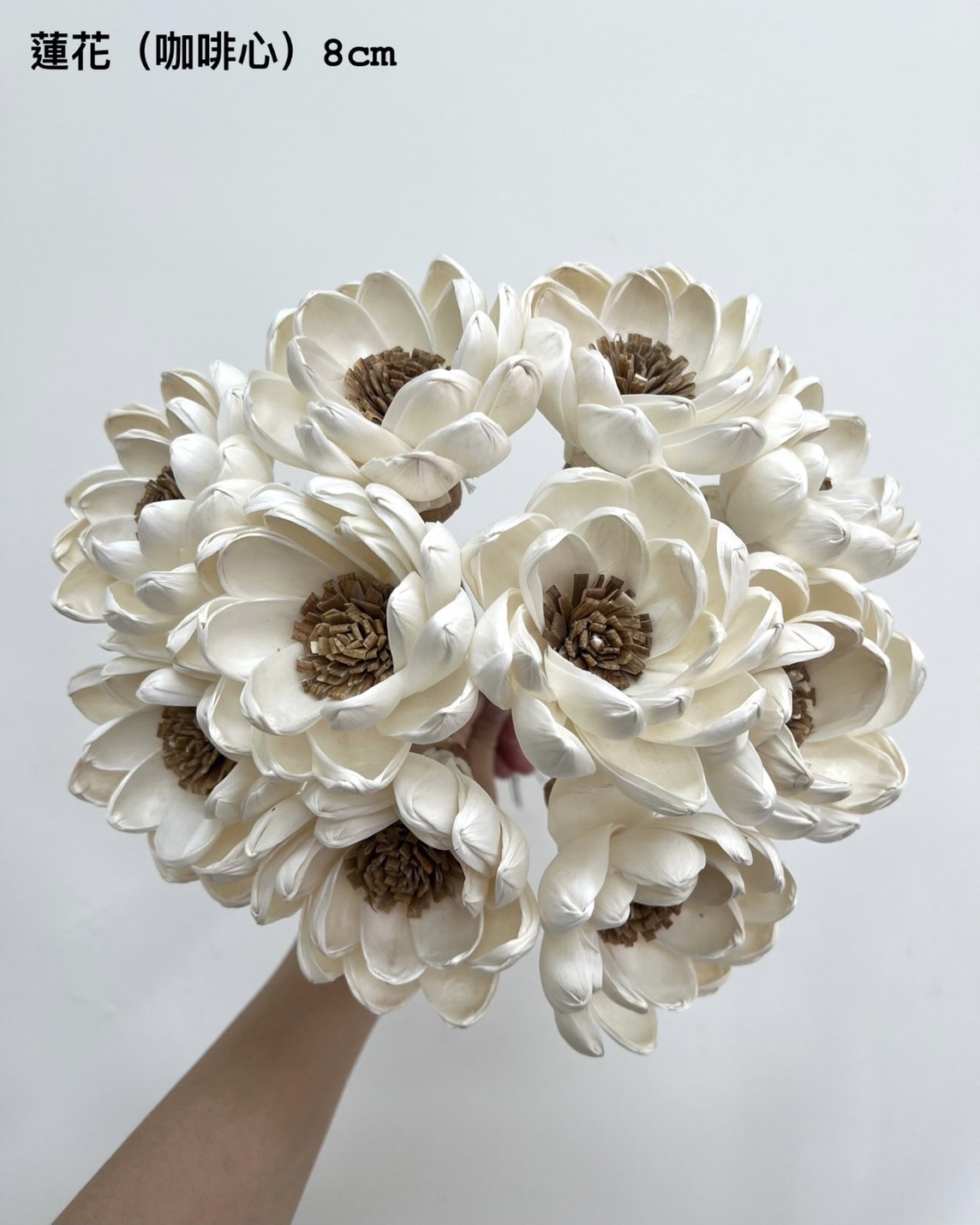 泰國索拉花-蓮花(咖啡心) 8cm <5支一把> (高品質)