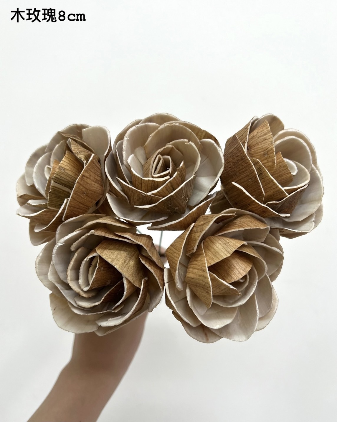 泰國索拉花- 木玫瑰 8cm <5支一把> (高品質)