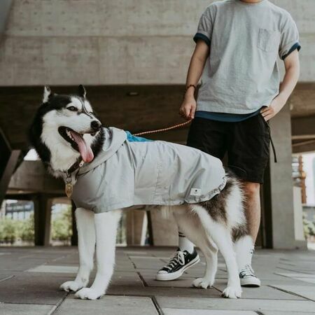 台灣CAMPET設計一年四季皆可穿的寵物雨衣-全境快穿衝鋒衣
