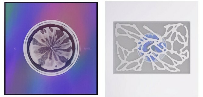 XG / NEW DNA (1st mini ALBUM)