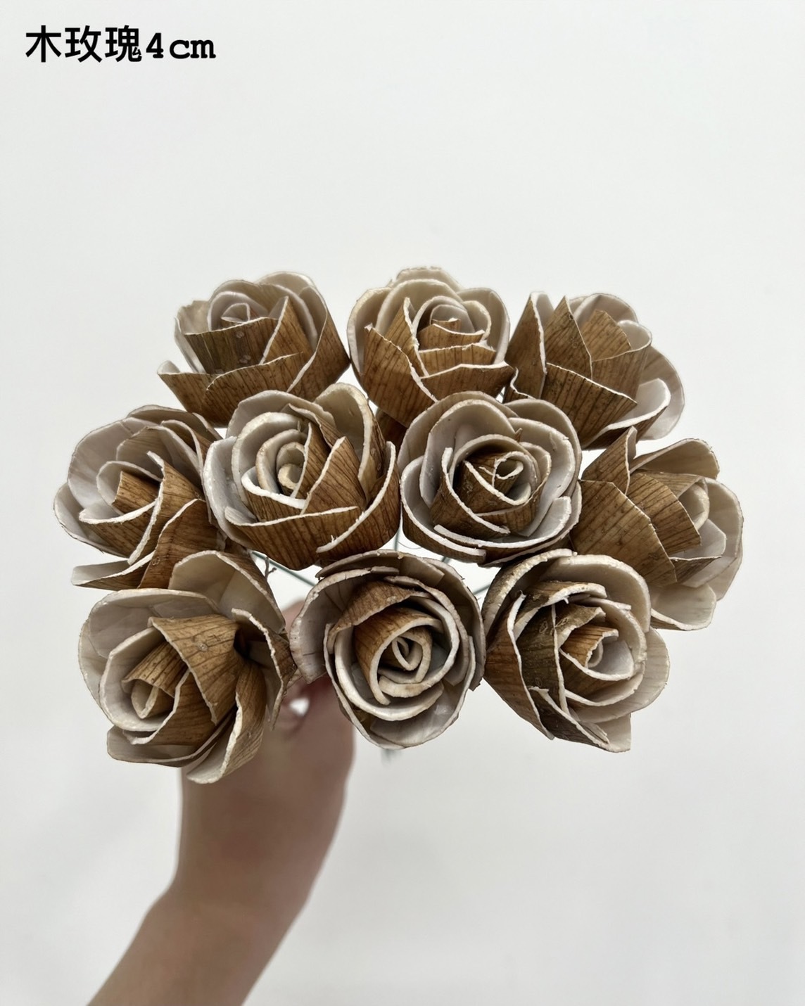 泰國索拉 木玫瑰 4CM <十支一把> (高品質)