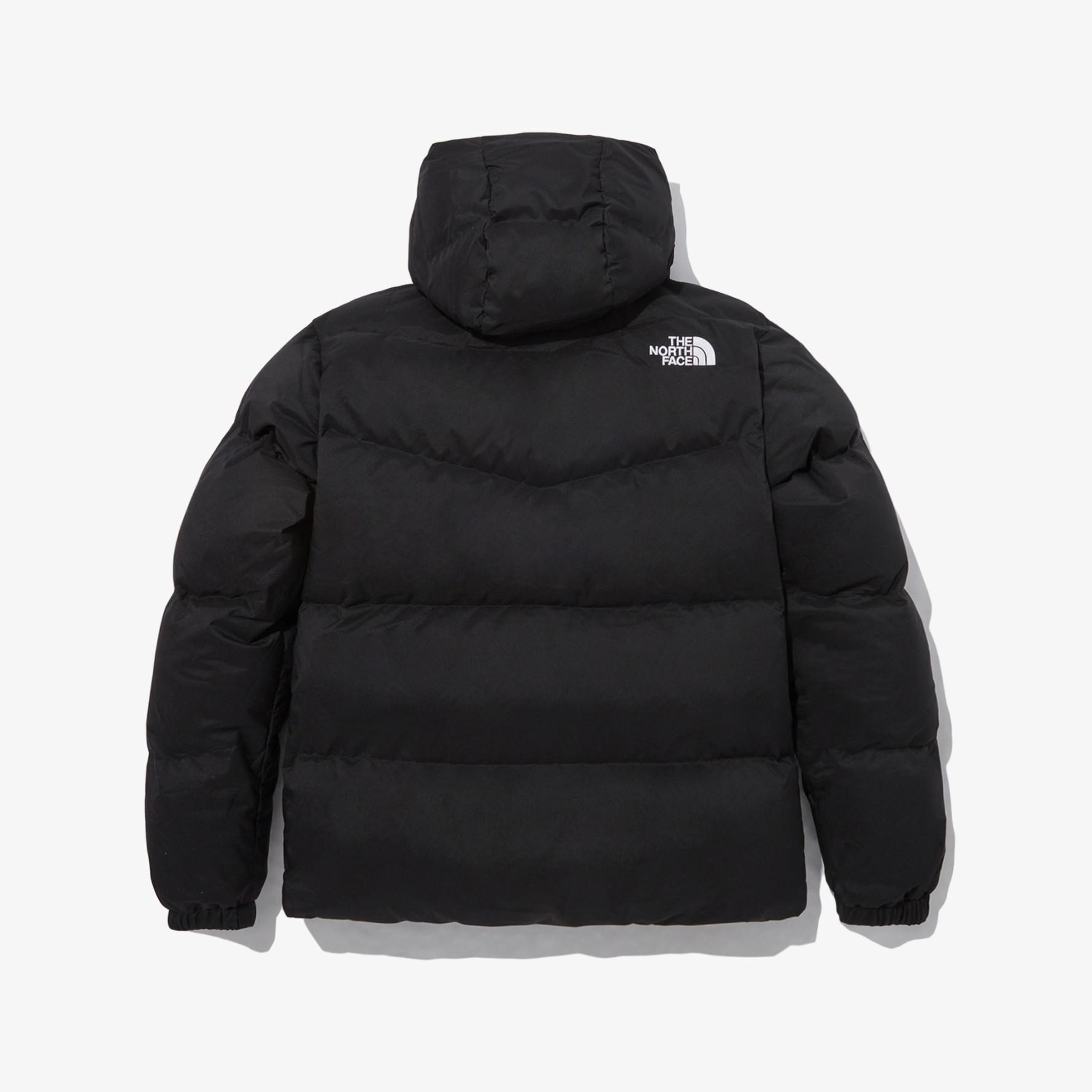 The north face 2025 down coat