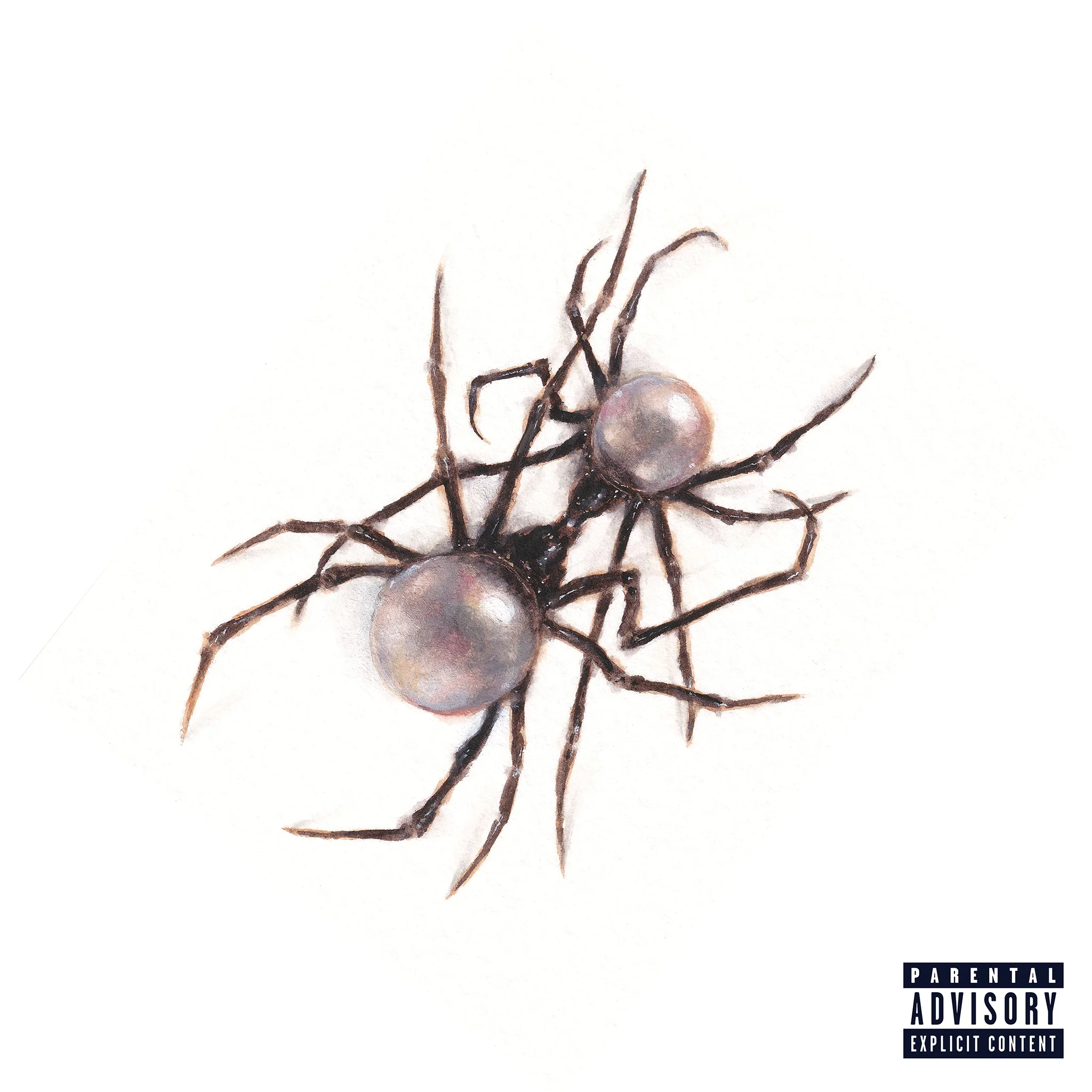 Doja Cat - Scarlet 原裝CD專輯 / 官方服飾 T-shirt / 大學T / 蜜桃貓朵佳