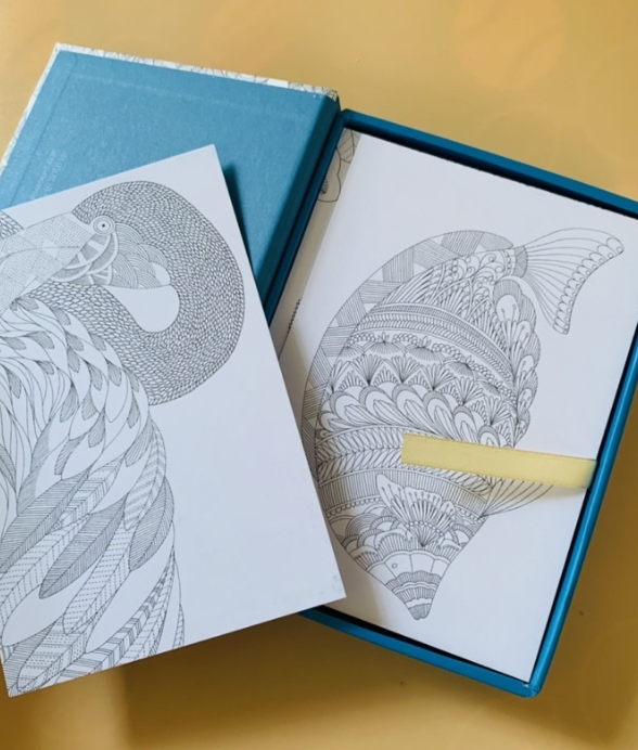 Animal Kingdom 50 colouring in postcards