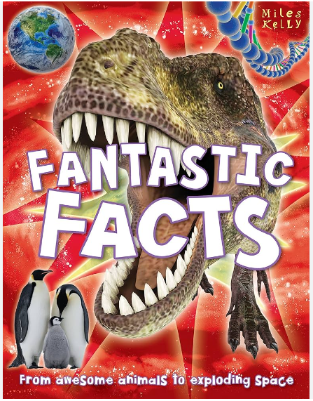 Fantastic Facts 红色
