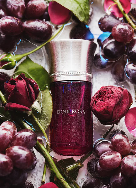 Dom Rosa - Liquides Imaginaires