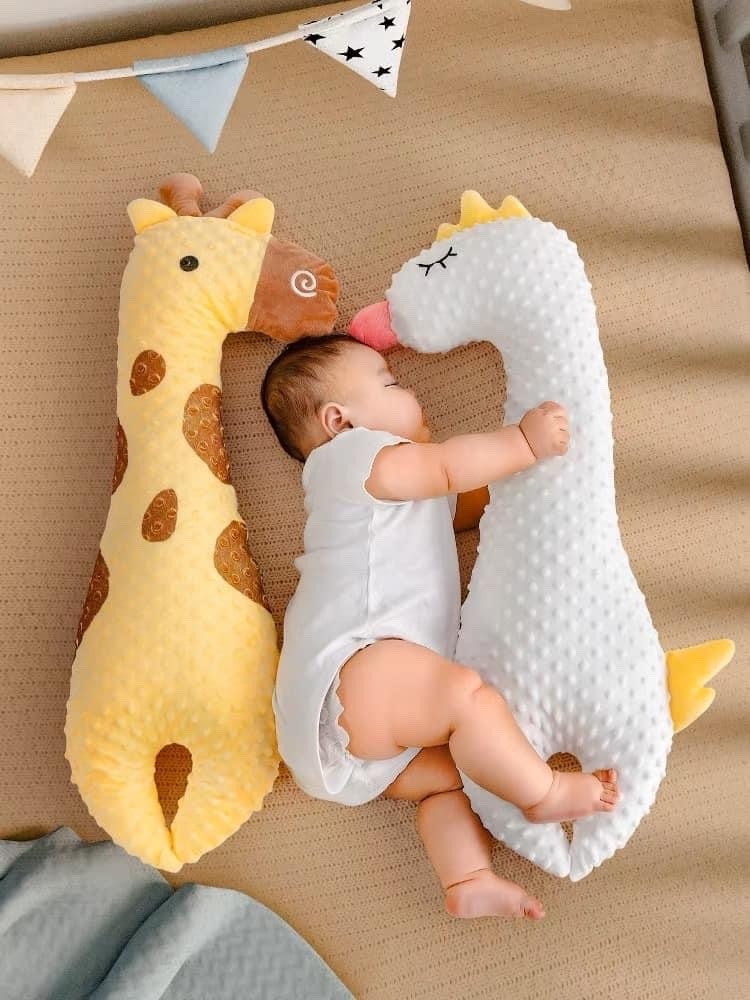 入睡大鵝長頸鹿