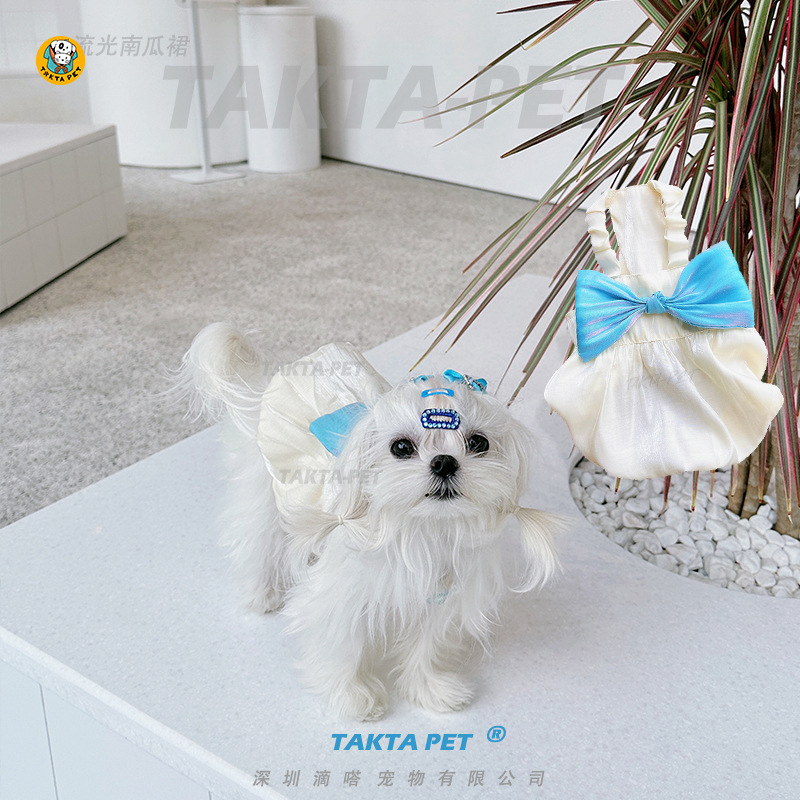 TAKTA宠物衣服 流光吊带南瓜裙