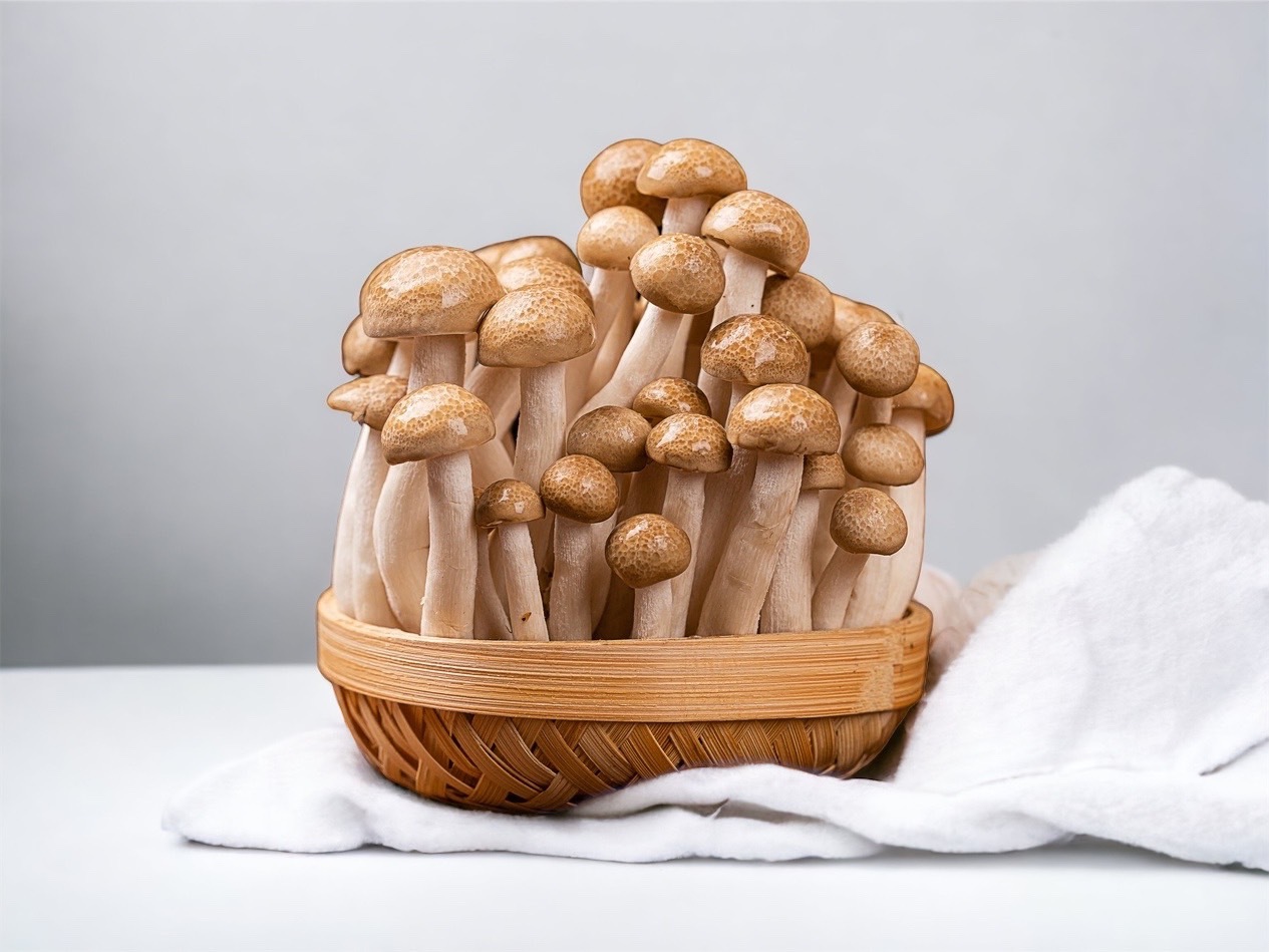 鴻喜菇和秀珍菇有什麼區別? _ 台灣香菇種類 – TUQNOO