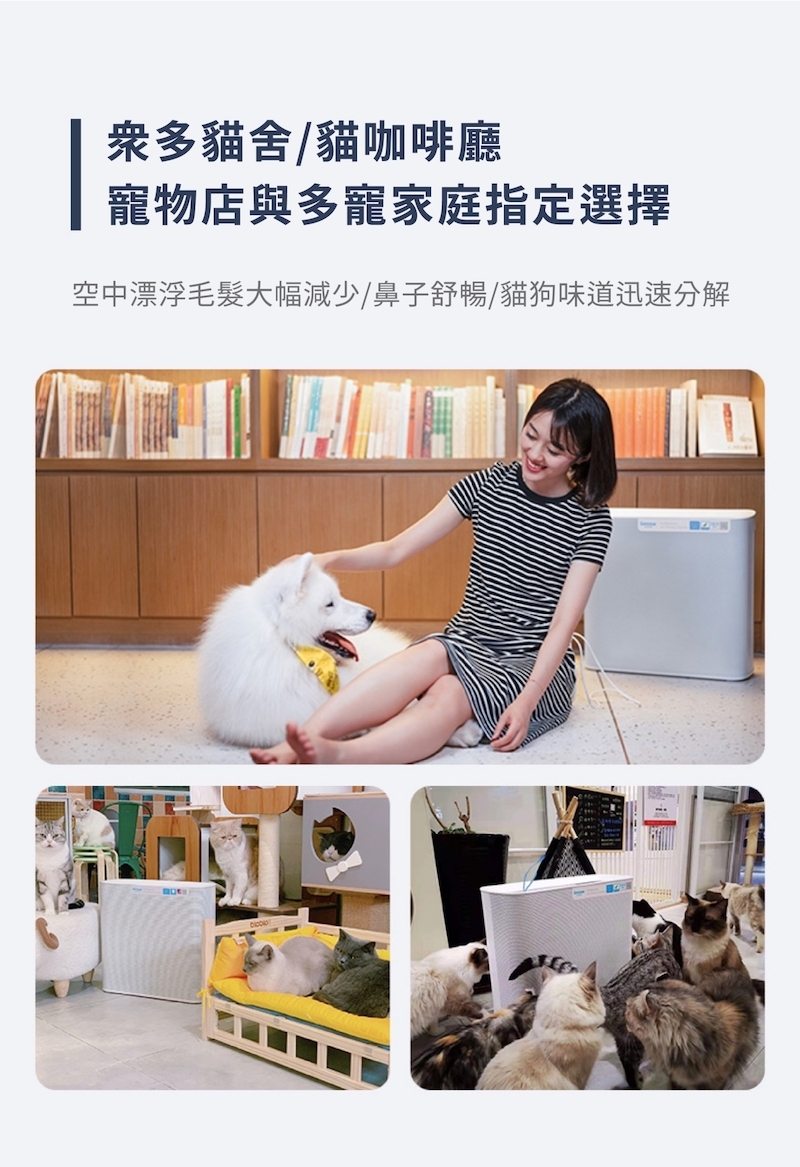 貓舍,貓咖啡廳指定Ginnoair寵物空氣清淨機