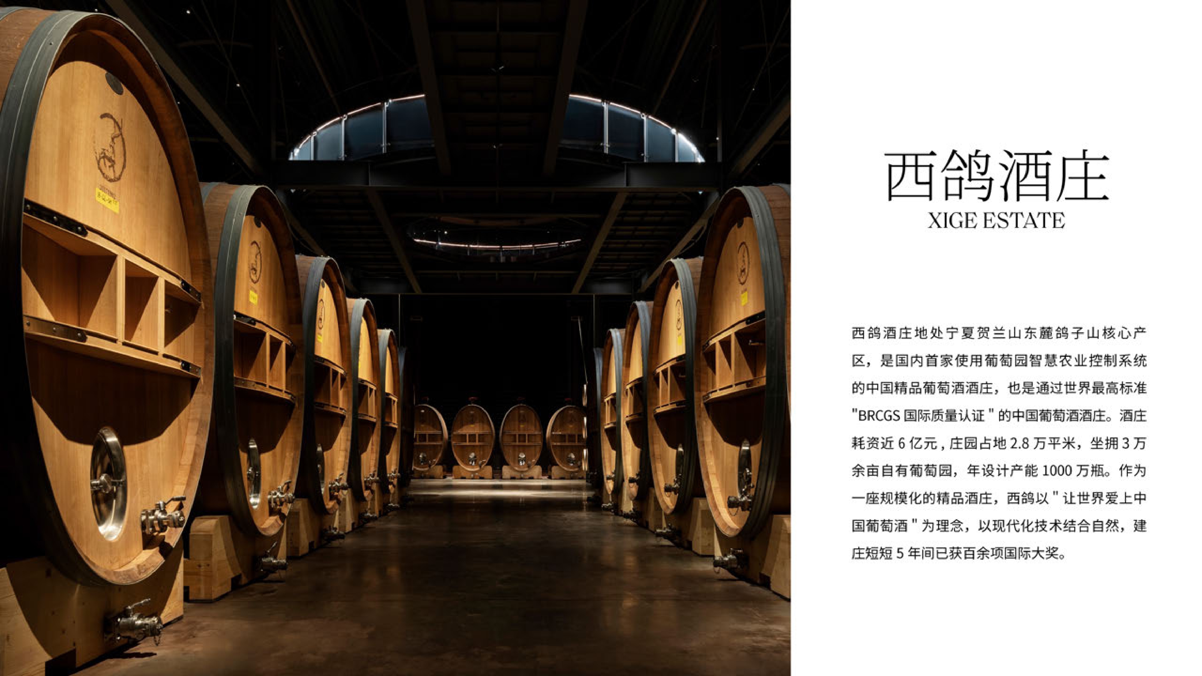 #西鴿酒莊 #火火Netshop #火火國際 #玉鴿 #紅酒 #餐酒 #xigeestate #wineofchina #滕上滕 #X糸列 #蛇龍珠 #赤霞珠 #白洒 #N609 #N50 #N28 #霞多麗 #馬瑟蘭 #馬爾貝克 #龍年 #禮盒