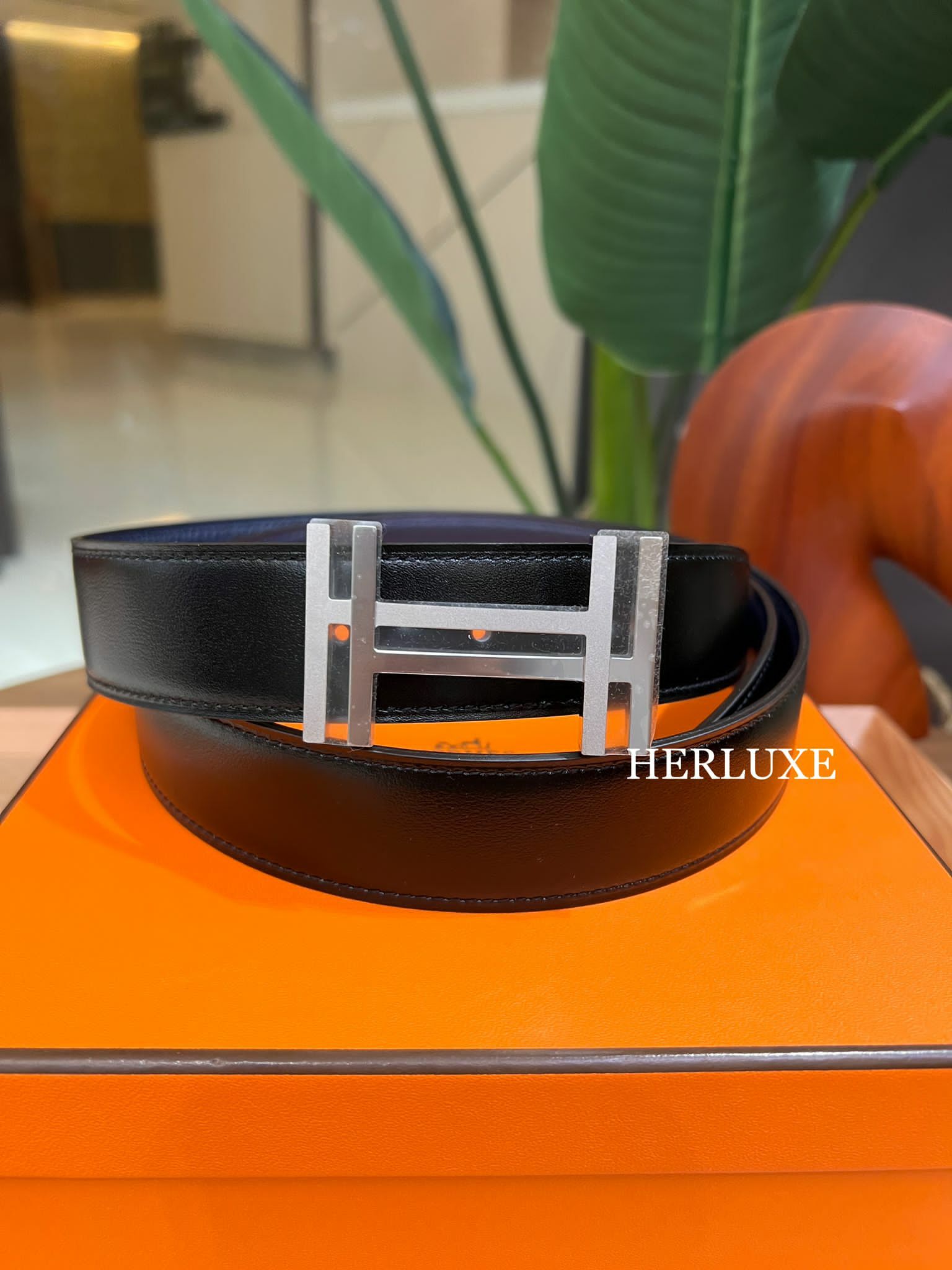 H au carre belt 32mm CK (可選擇皮帶顏色及長度)