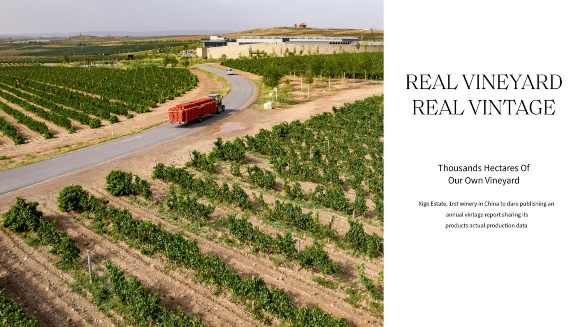 #西鴿酒莊 #火火Netshop #火火國際 #玉鴿 #紅酒 #餐酒 #xigeestate #wineofchina #滕上滕 #X糸列 #蛇龍珠 #赤霞珠 #白洒 #N609 #N50 #N28 #霞多麗 #馬瑟蘭 #馬爾貝克 #龍年 #禮盒