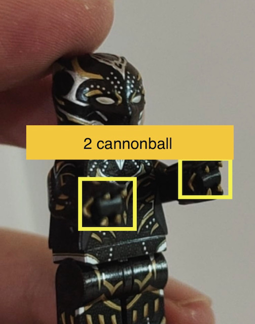 【Lifebrick】黑豹女 (僅配件)