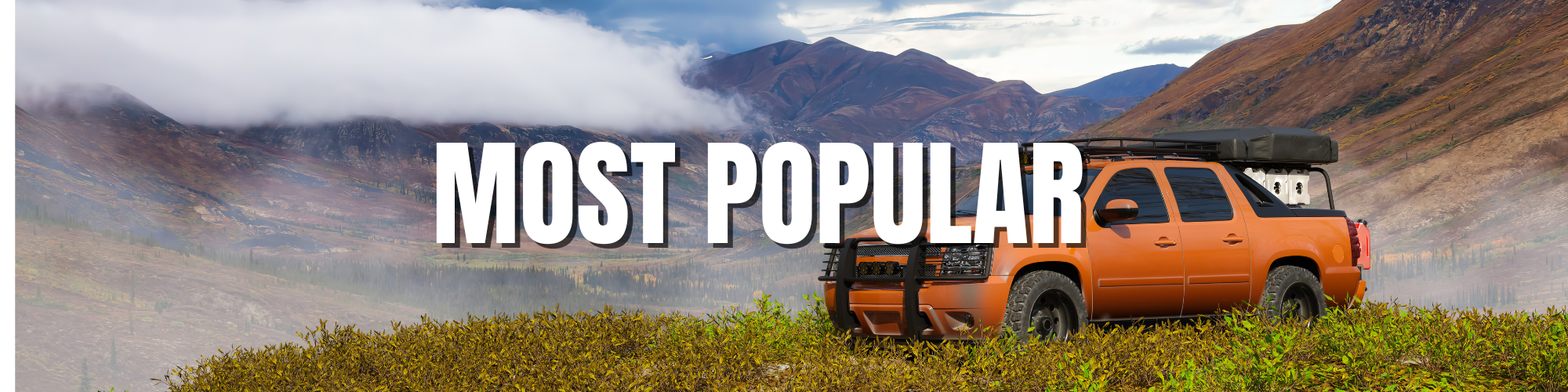 IPG 4X4 Most Popular 4x4 product