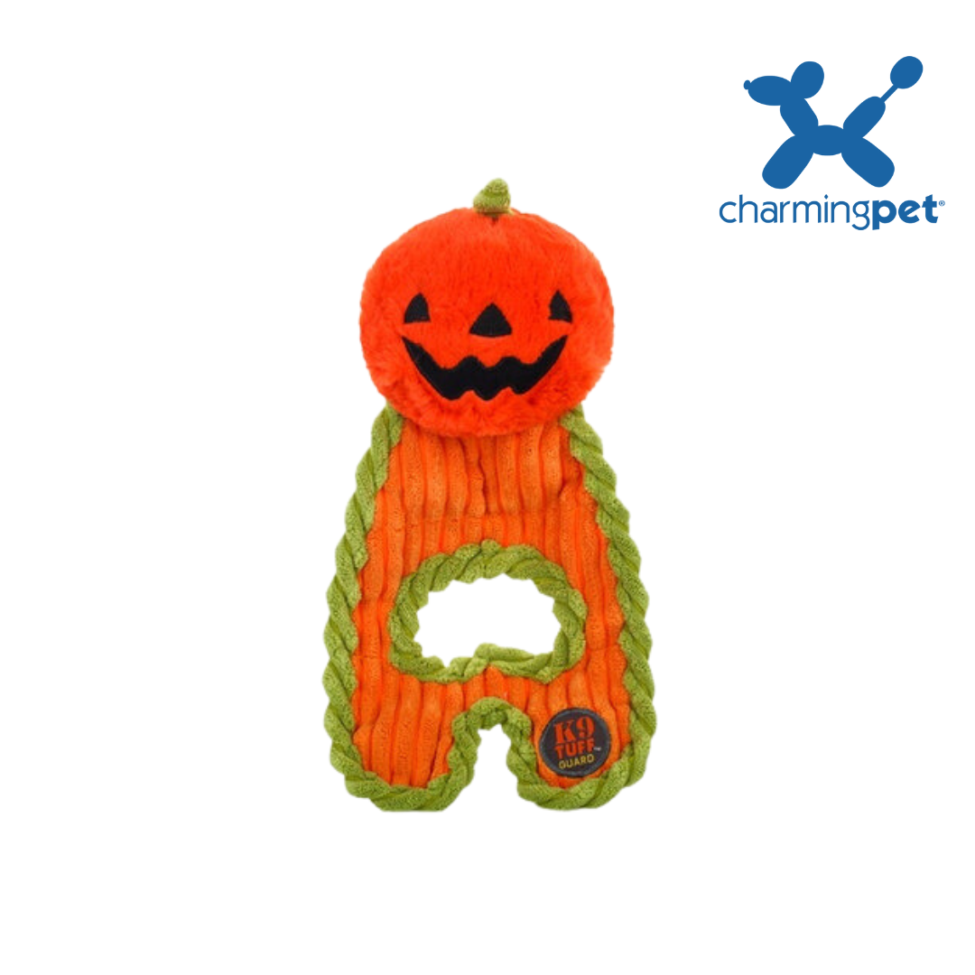 Charming Pet 萬聖節南瓜怪