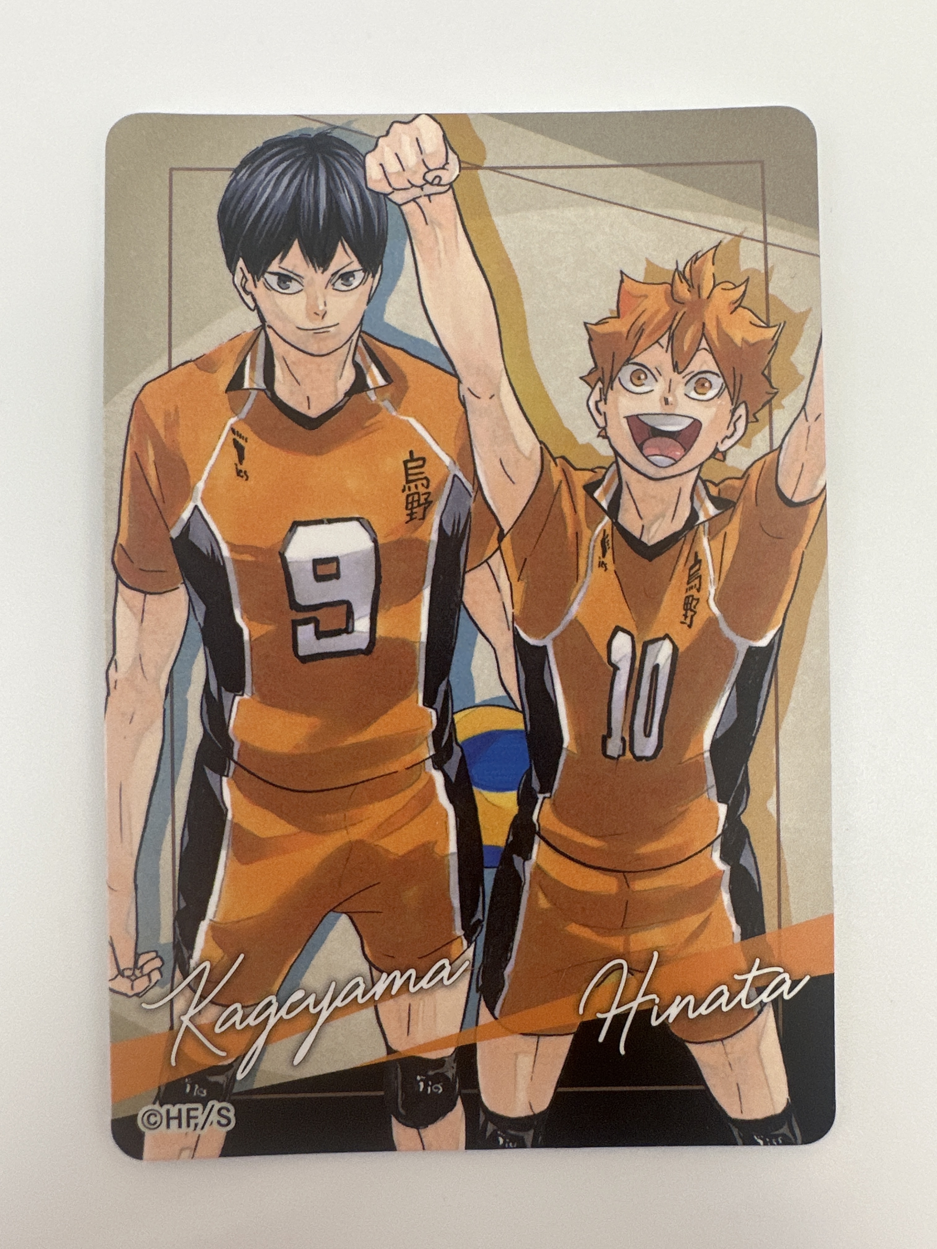 排球少年展 日向翔陽 影山飛雄 日影 原畫 磁石貼