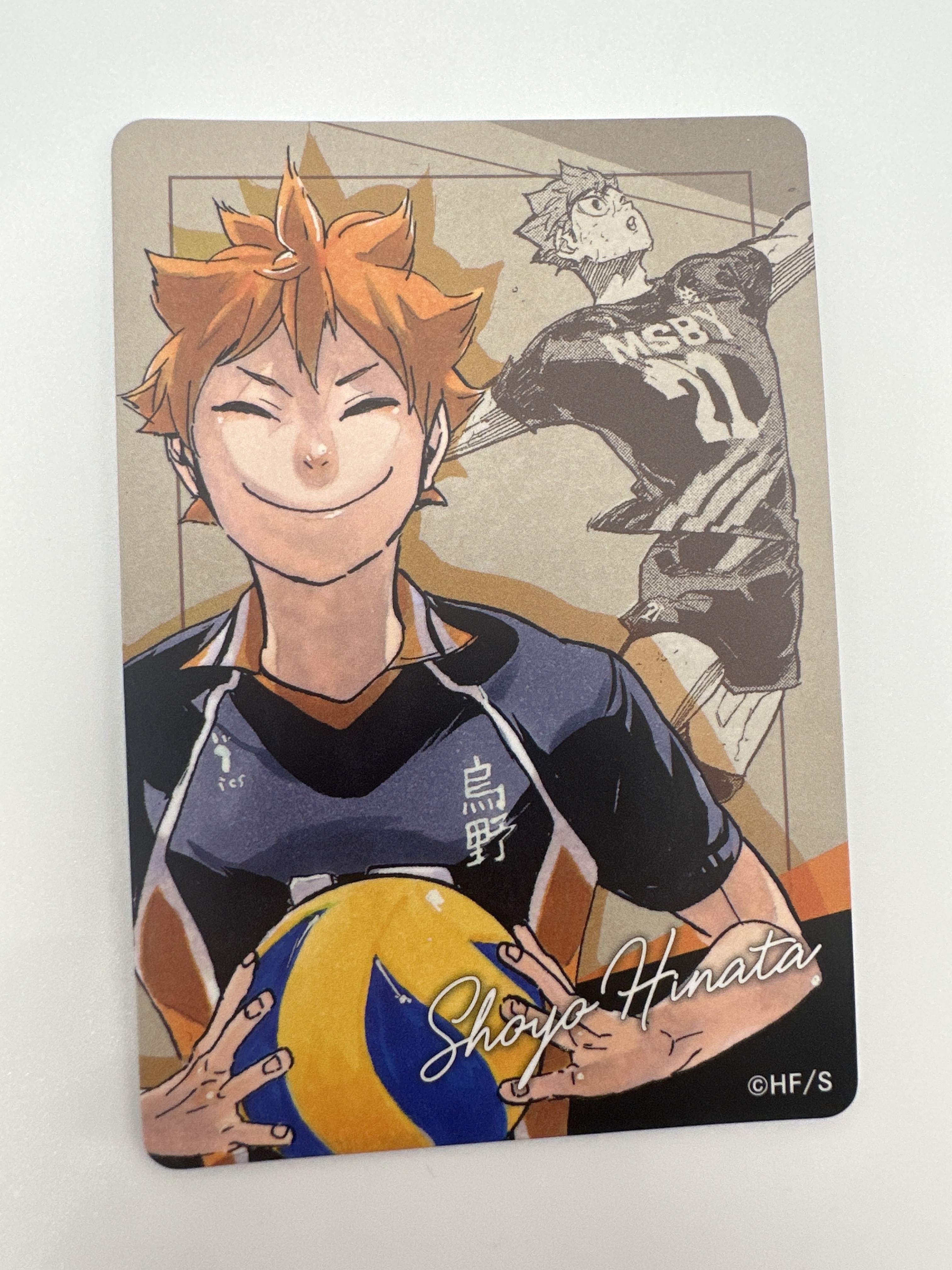 排球少年展 日向翔陽 原畫 磁石貼