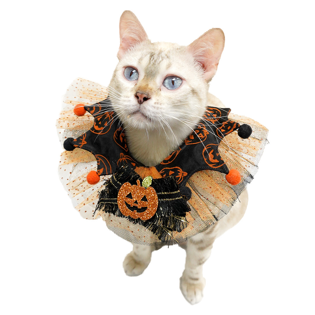 Halloween Spooky Pumpkin Cat Collar