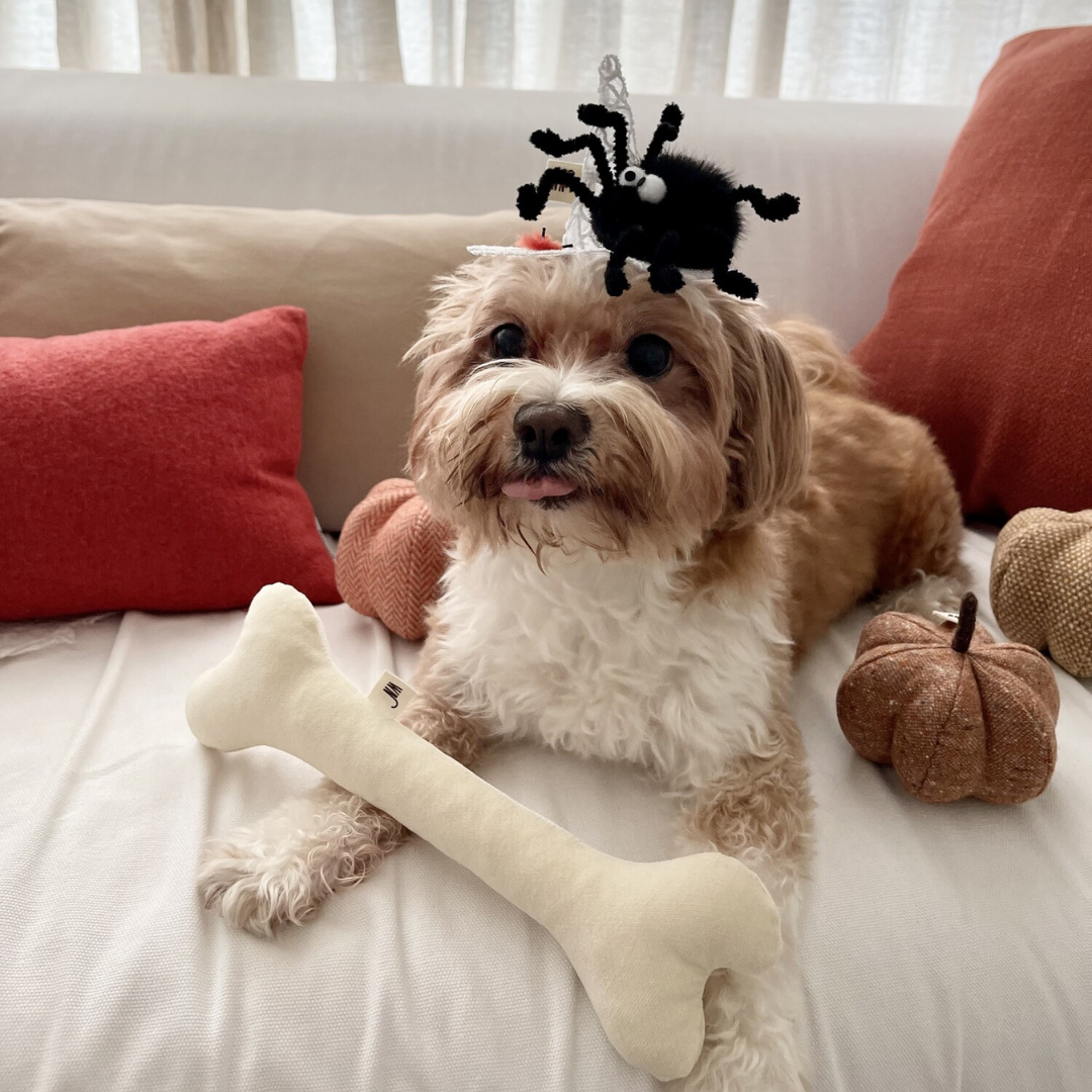 WETNOSE 狗骨頭 啾啾發聲玩具DOG bone