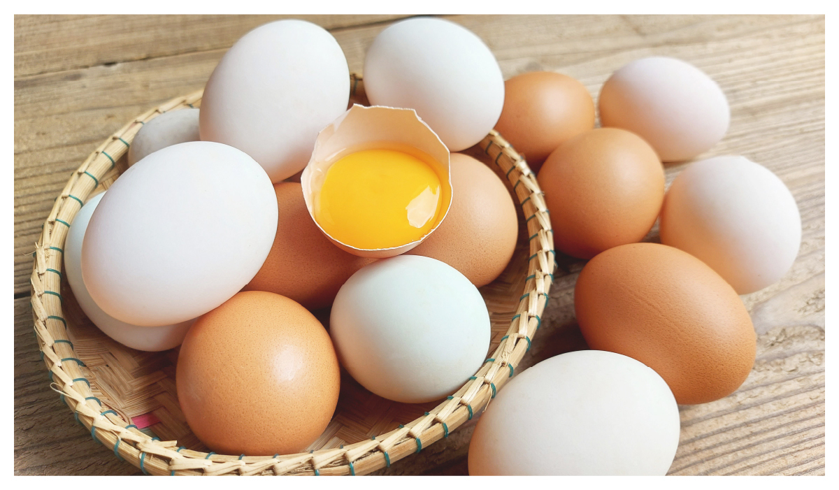 【健康知識Plus劃重點】-5個跟雞蛋有關的小知識