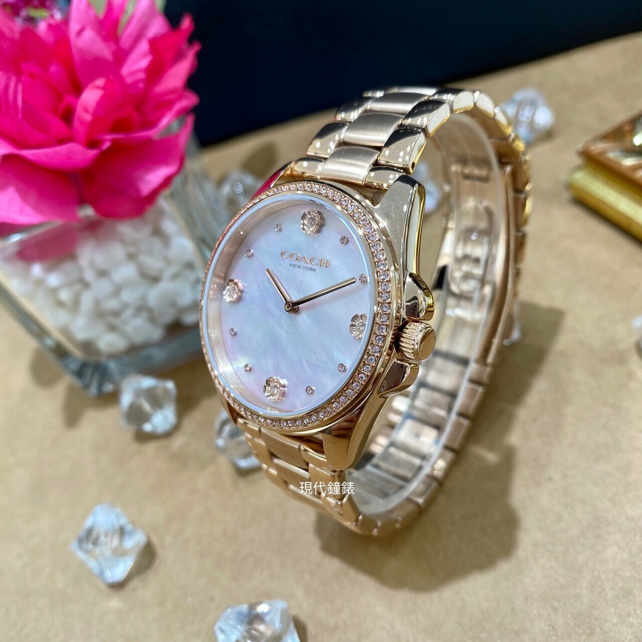 【COACH】山茶花珍珠貝晶鑽時尚腕錶 CO14504110 36mm 現代鐘錶