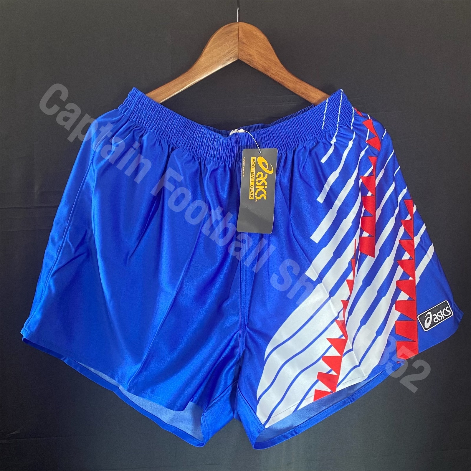 (BNWT) Japan 1994-1995 Asics Official Game Shorts