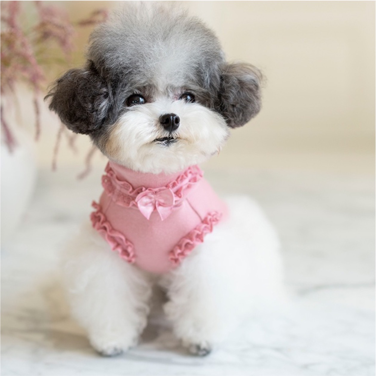 OPAAAP 蕾絲小高領無袖背心