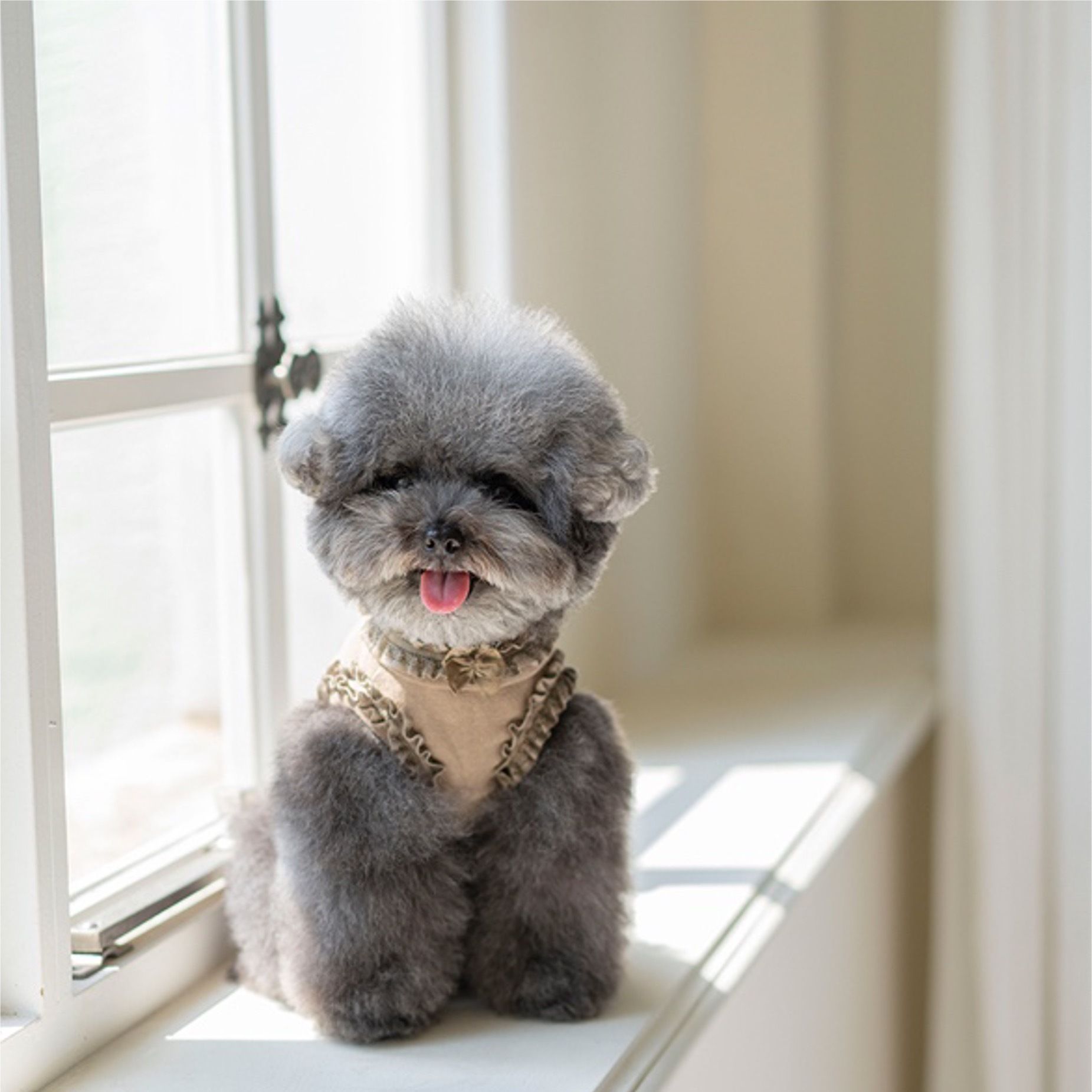 OPAAAP 蕾絲小高領無袖背心